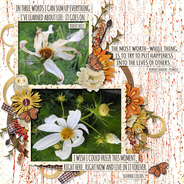 flower_small_2019_Sept