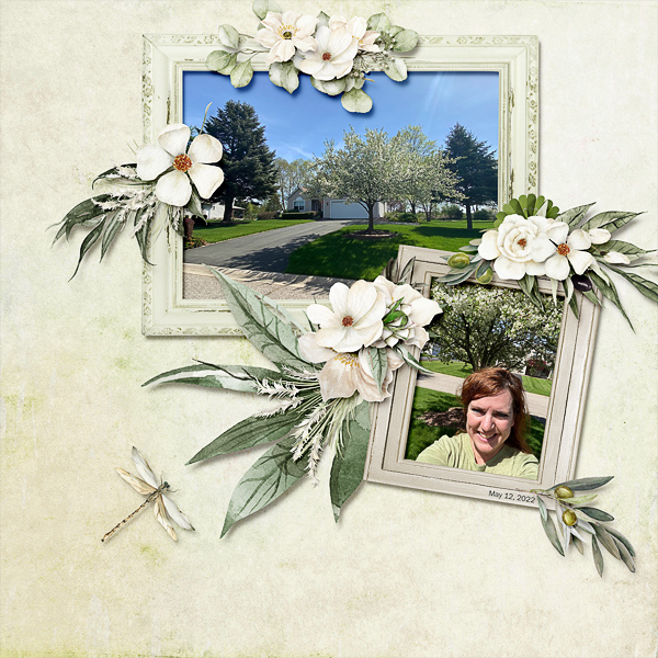 Flowering Crabapple Tree