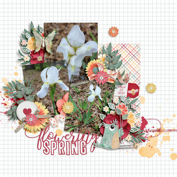 Flowering Spring