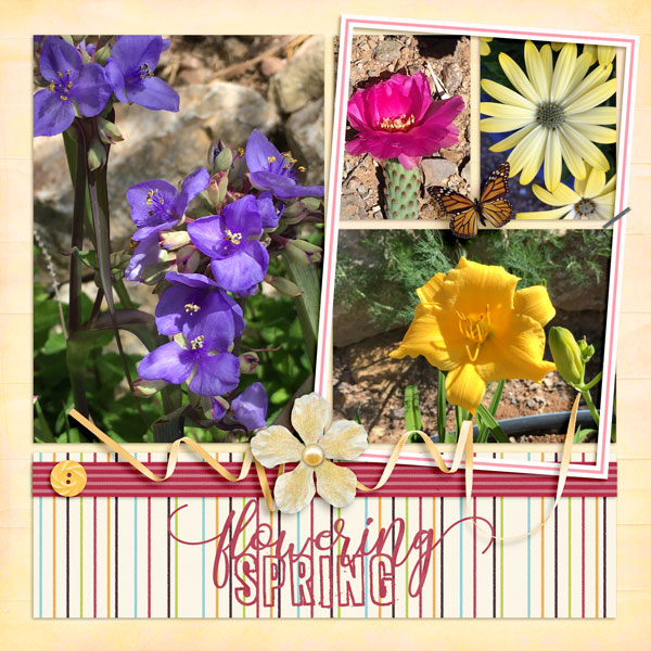 Flowering Spring