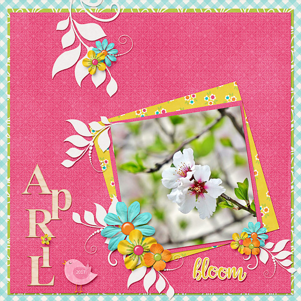 Flowering Tree in April
