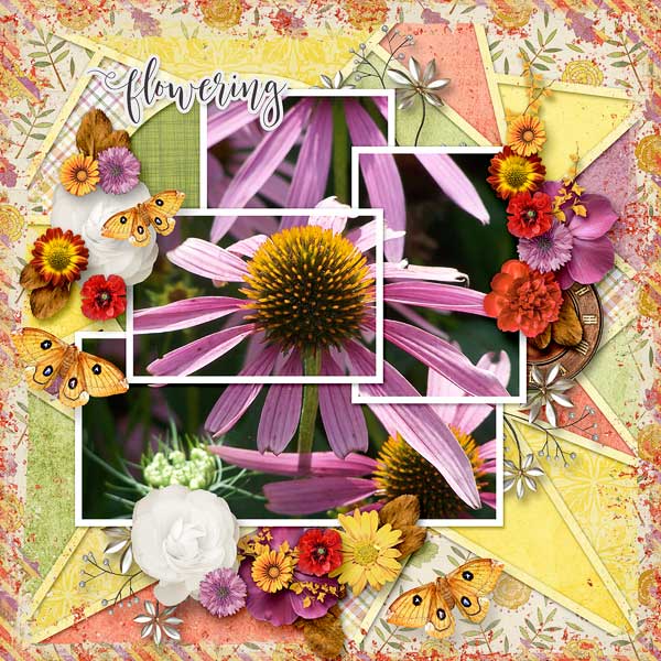 Flowering