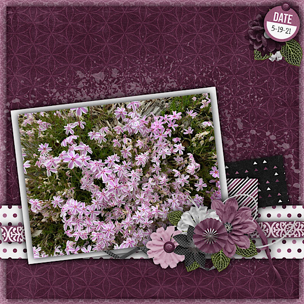Flowers +#127800; +#127802;