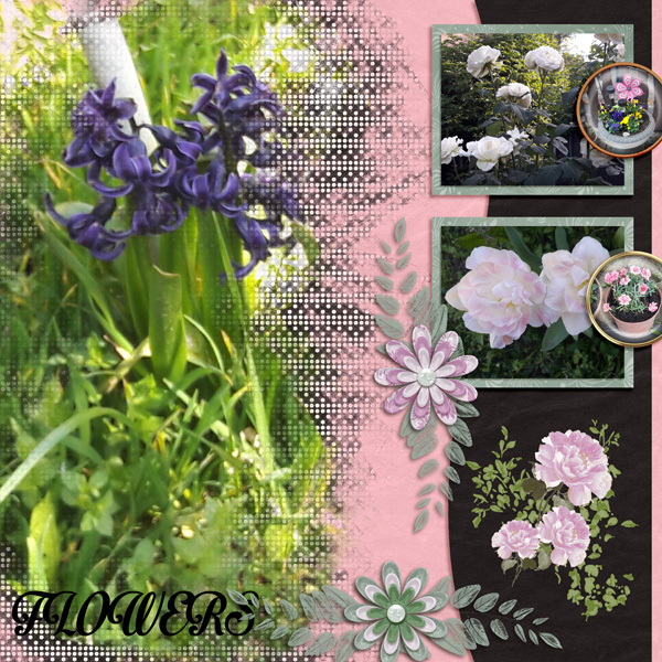 Flowers 2