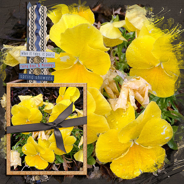Flowers After The Rain
