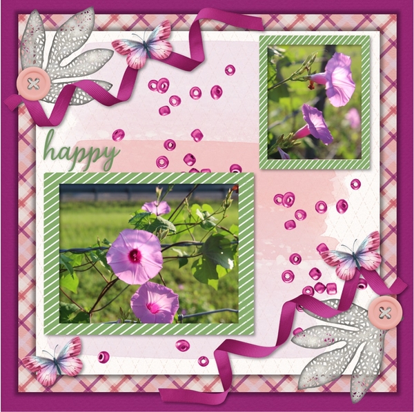 Flowers Along the Road