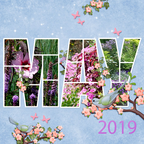 Flowers and Birds