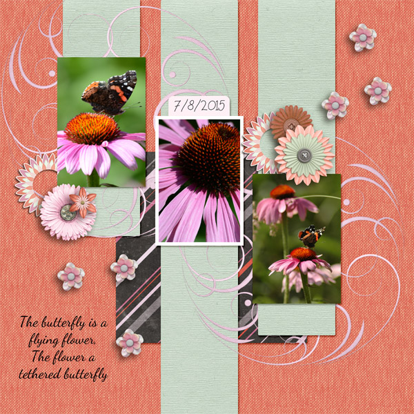 Flowers and Butterflies