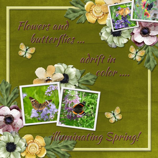 Flowers and butterflies  .....