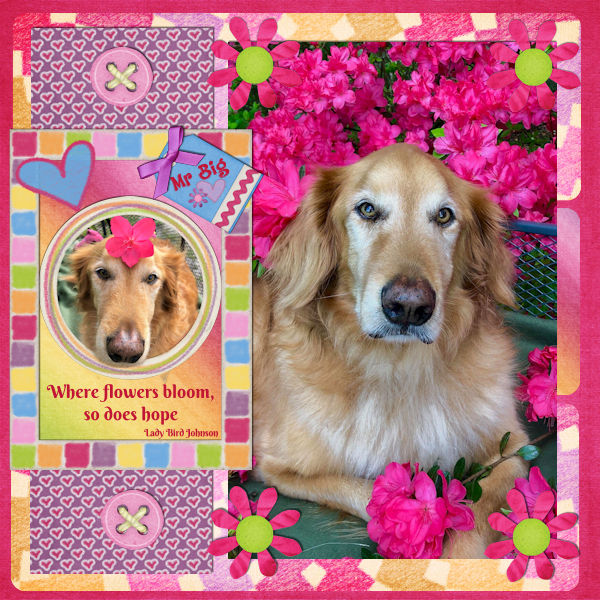 Flowers and hope