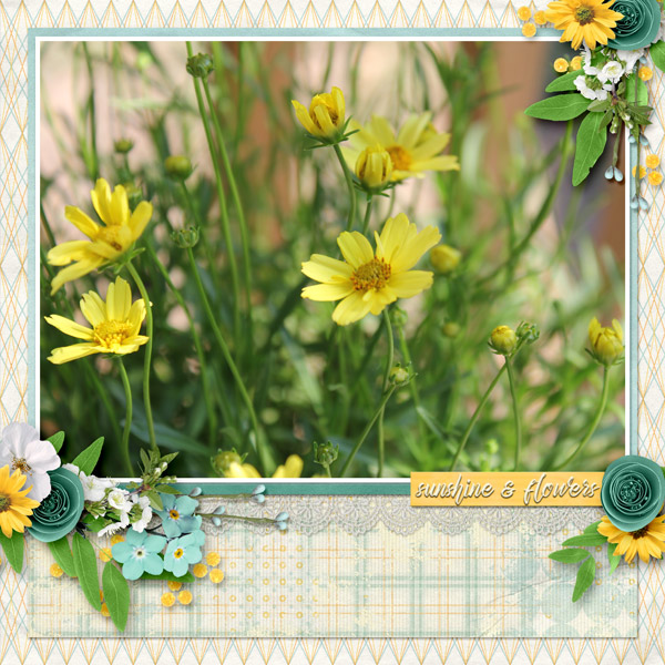 Flowers and Sunshine