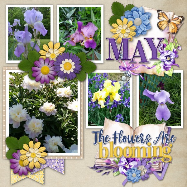Flowers are Blooming