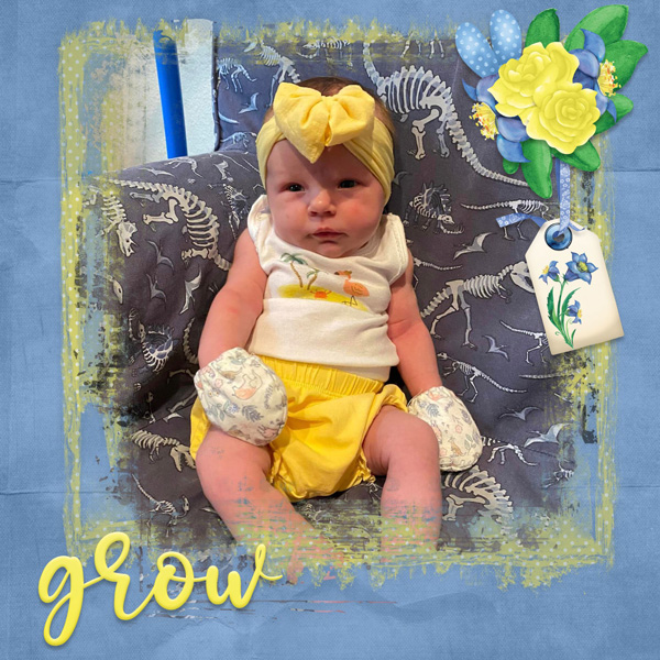Flowers Are Happiness-ScrapbookCrazy
