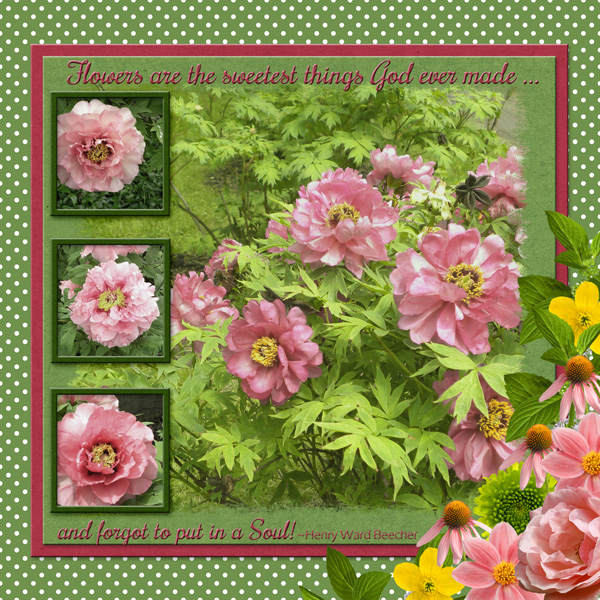 Flowers are the sweetest thing God ever made ...
