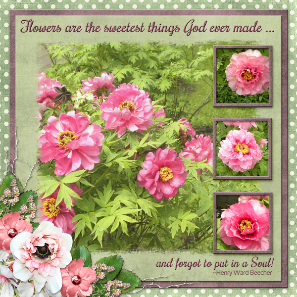 Flowers are the sweetest thing God ever made ...