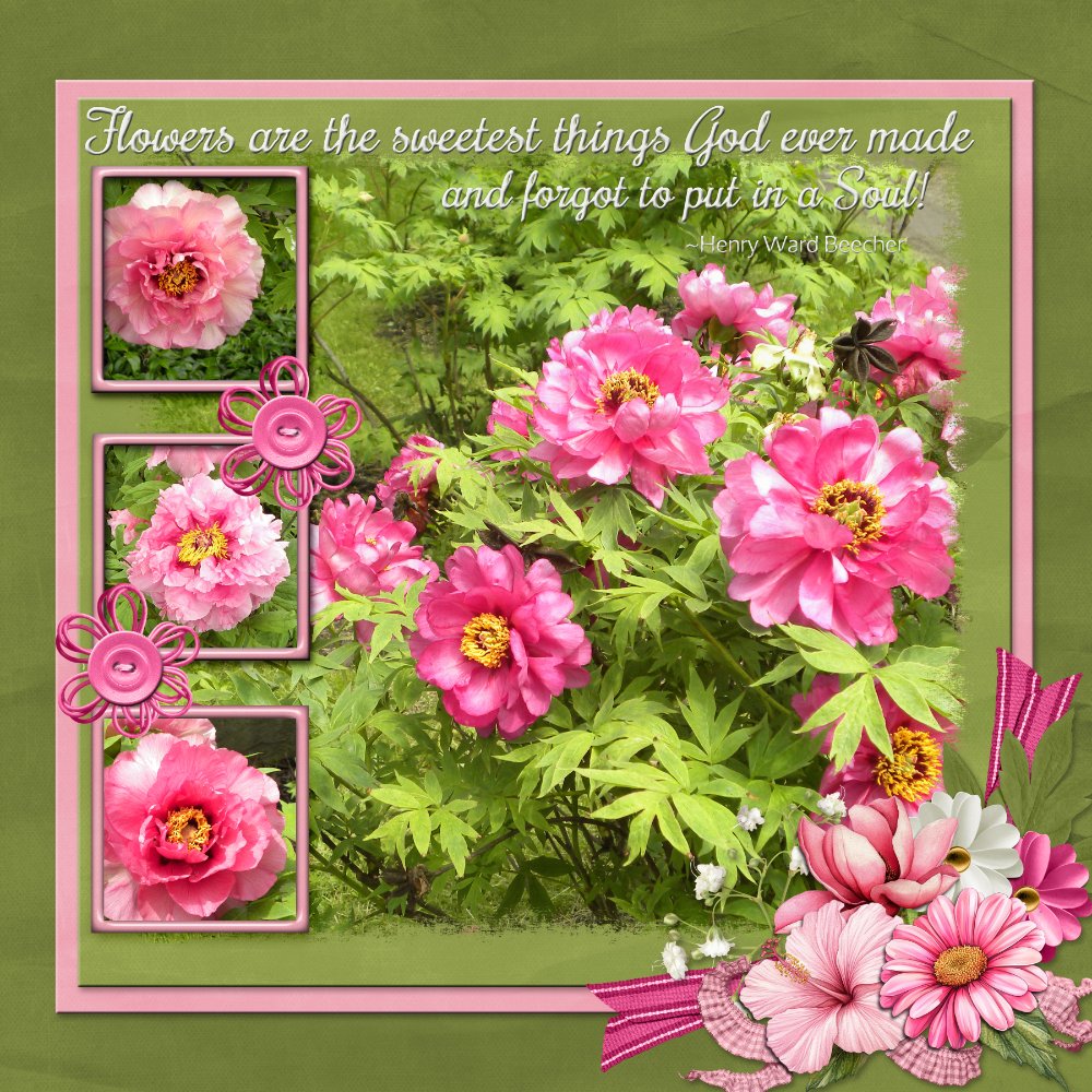 Flowers are the sweetest things
