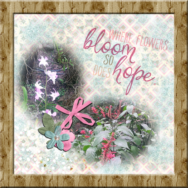 Flowers Bloom
