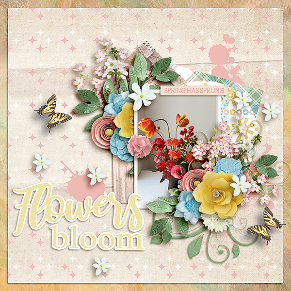 Flowers Bloom