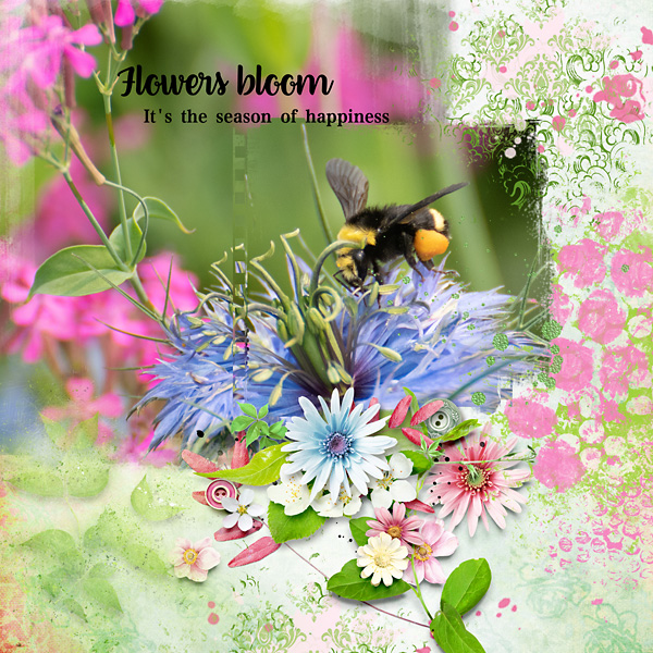 Flowers Bloom