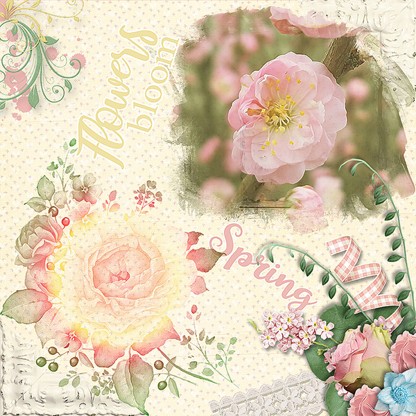 Flowers Bloom