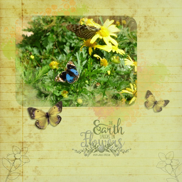 flowers + butterflies