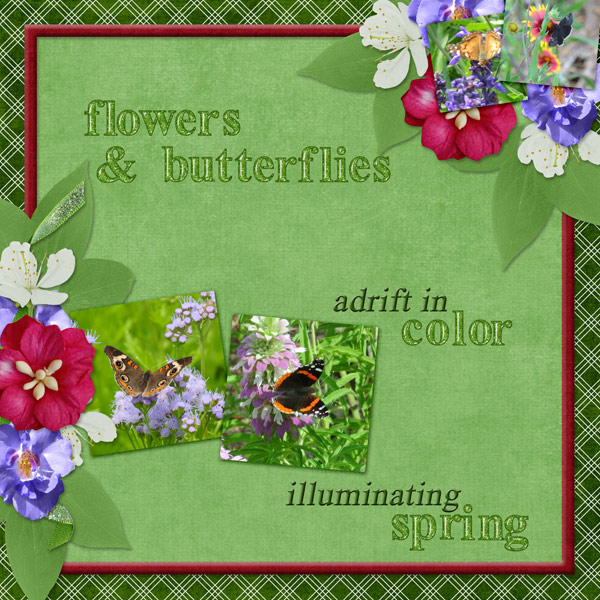 flowers + butterflies