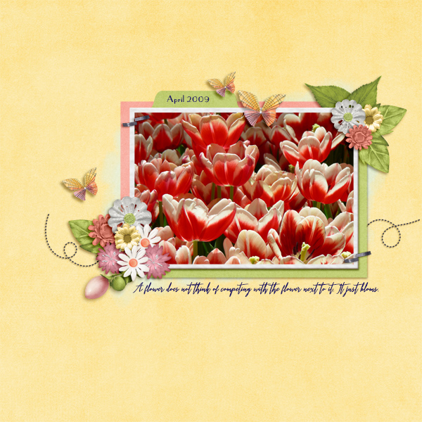 Flowers Compete