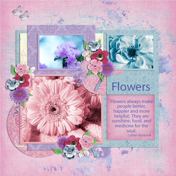 Flowers Feed my Soul