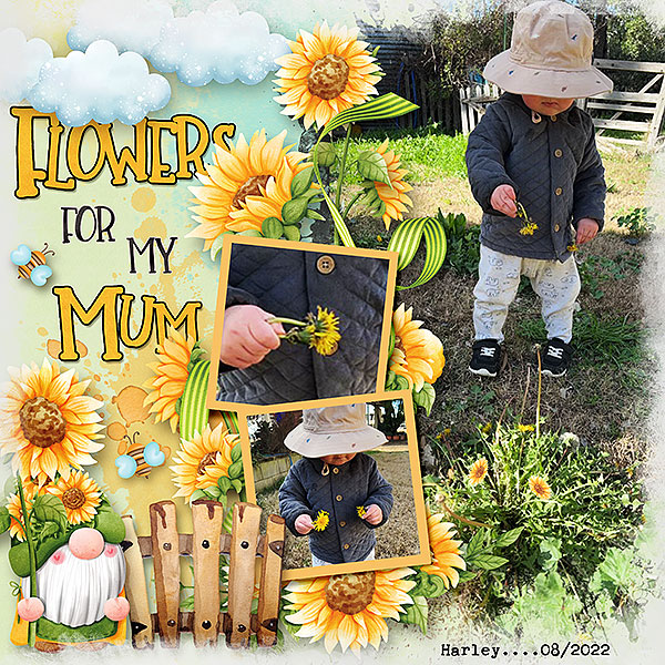 Flowers for my Mum