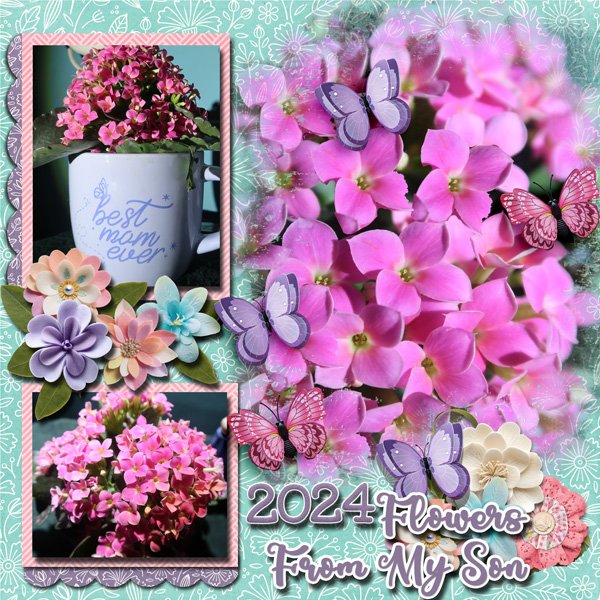 Flowers from My Son