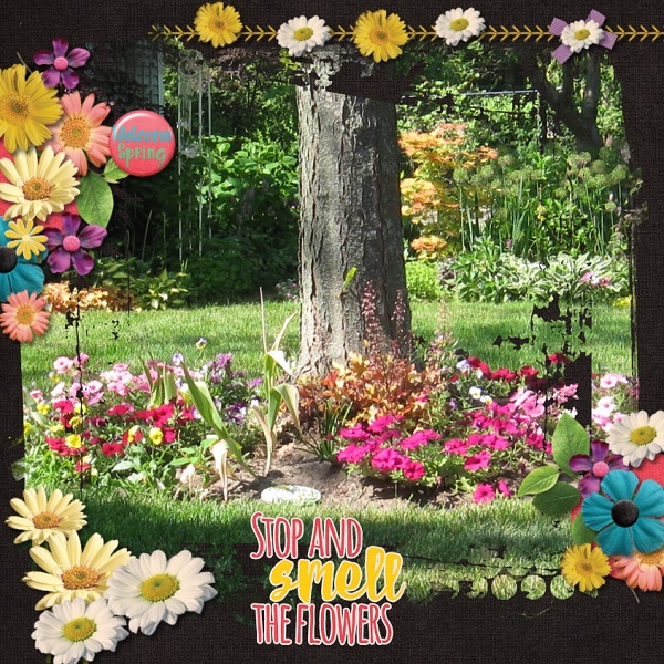 Flowers Galore