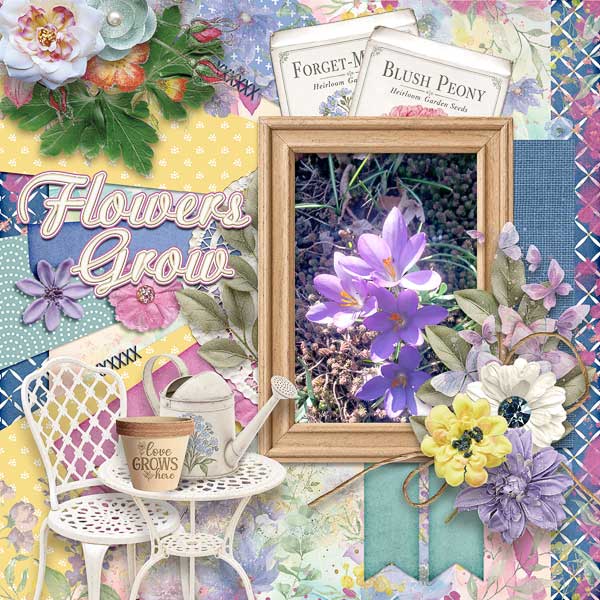 Flowers Grow