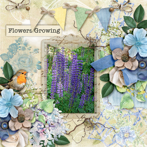 Flowers-growing