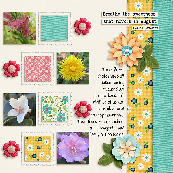 Flowers in August