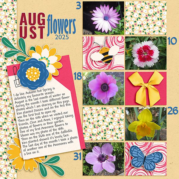 Flowers in August