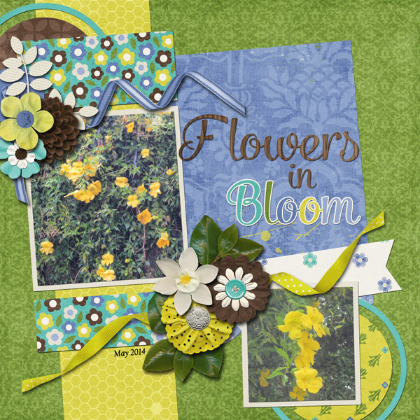 Flowers in Bloom