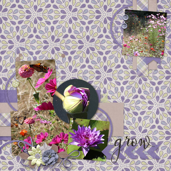 Flowers in Bloom