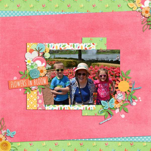 Flowers in Bloom