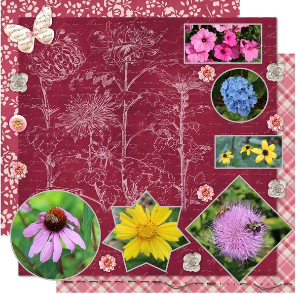 Flowers in Bloom