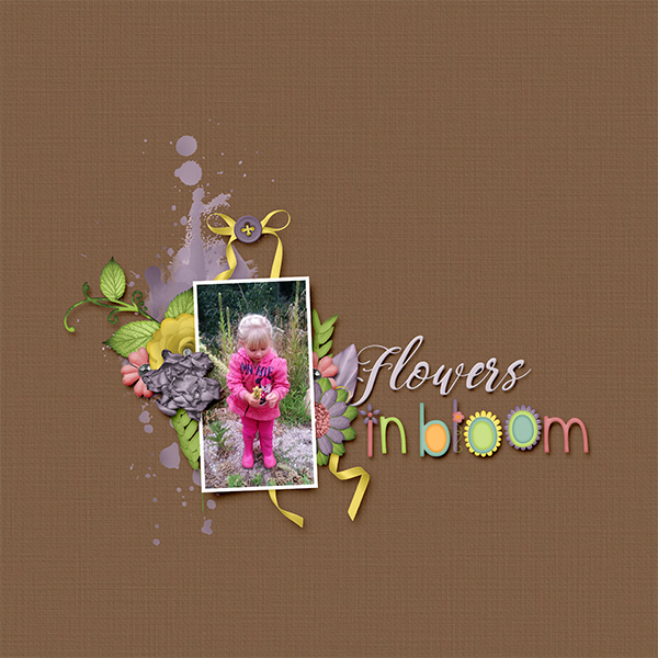 Flowers in Bloom
