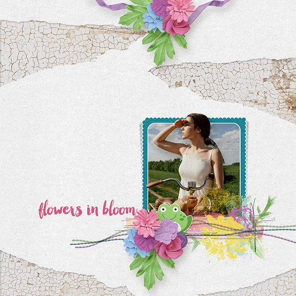 flowers in bloom