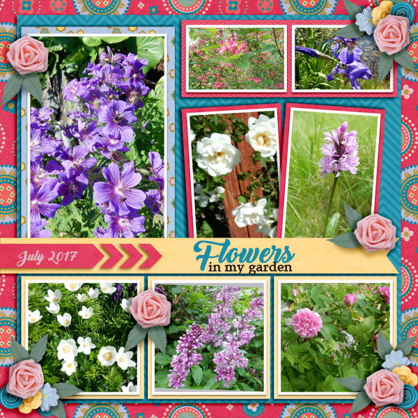 Flowers-in-my-garden