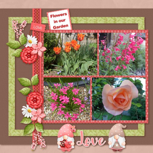 Flowers In Our Garden