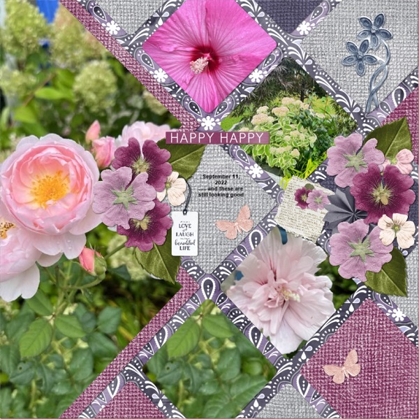 Flowers in September
