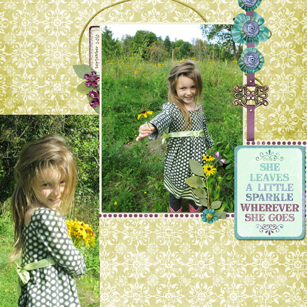flowers in the field