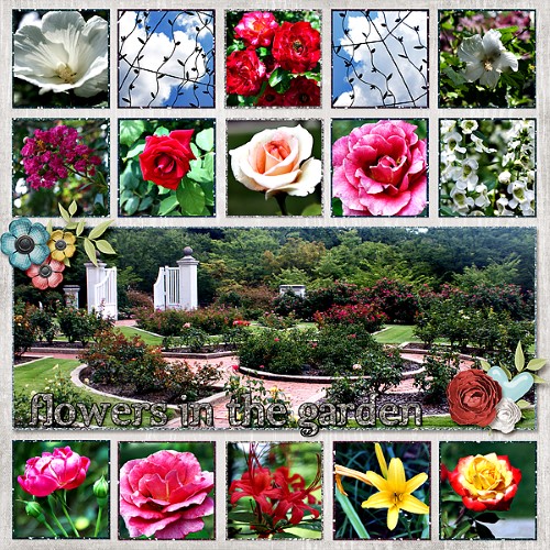 Flowers in the Garden