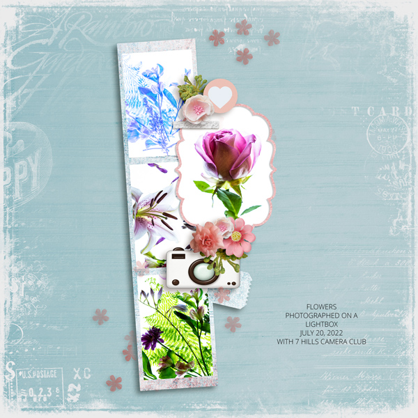 FLOWERS - JCOLON INSD 2023