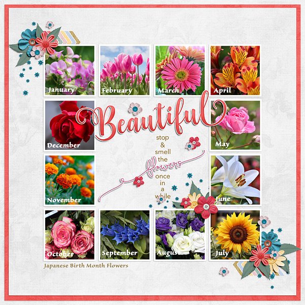 Flowers.jpg