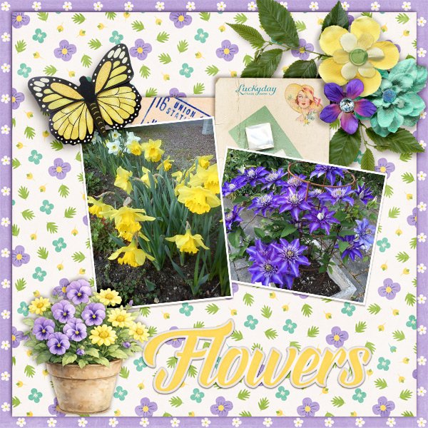 Flowers.jpg