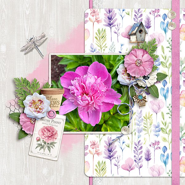 Flowers.jpg